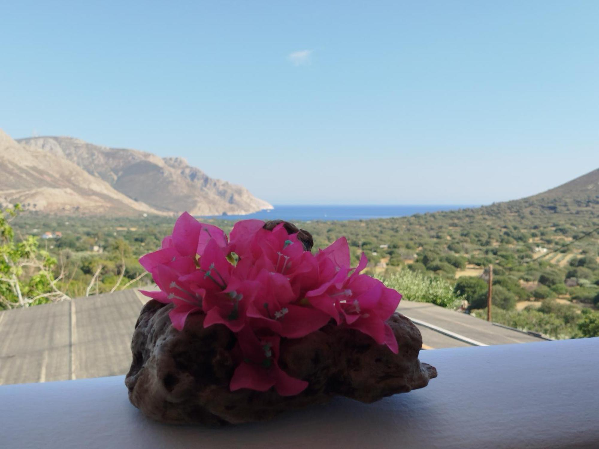 Tilos Island House Megálon Choríon Exterior foto